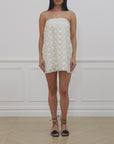 A-line Lace Mini Dress