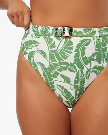 Palm Green
